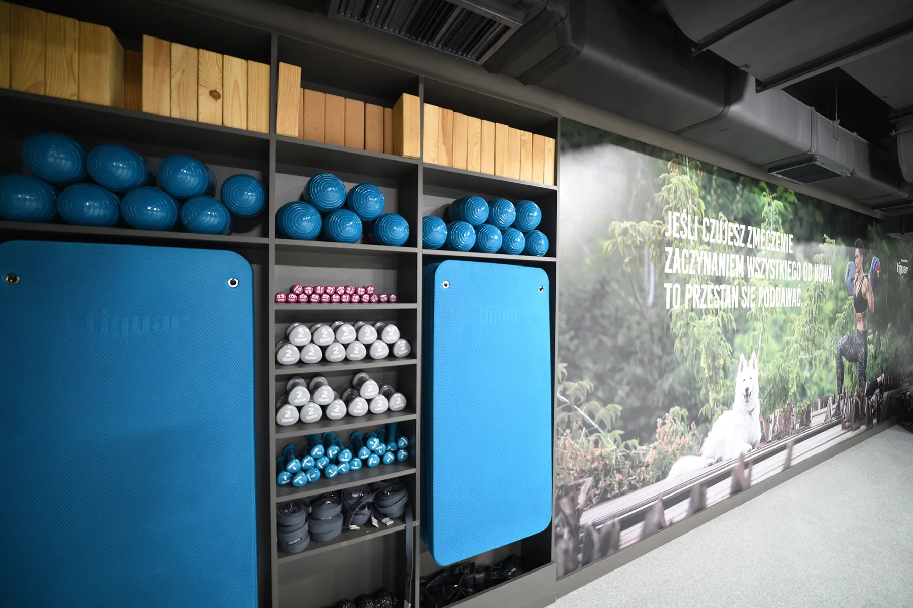 Physiotherapy and small-group space with tiguar storage