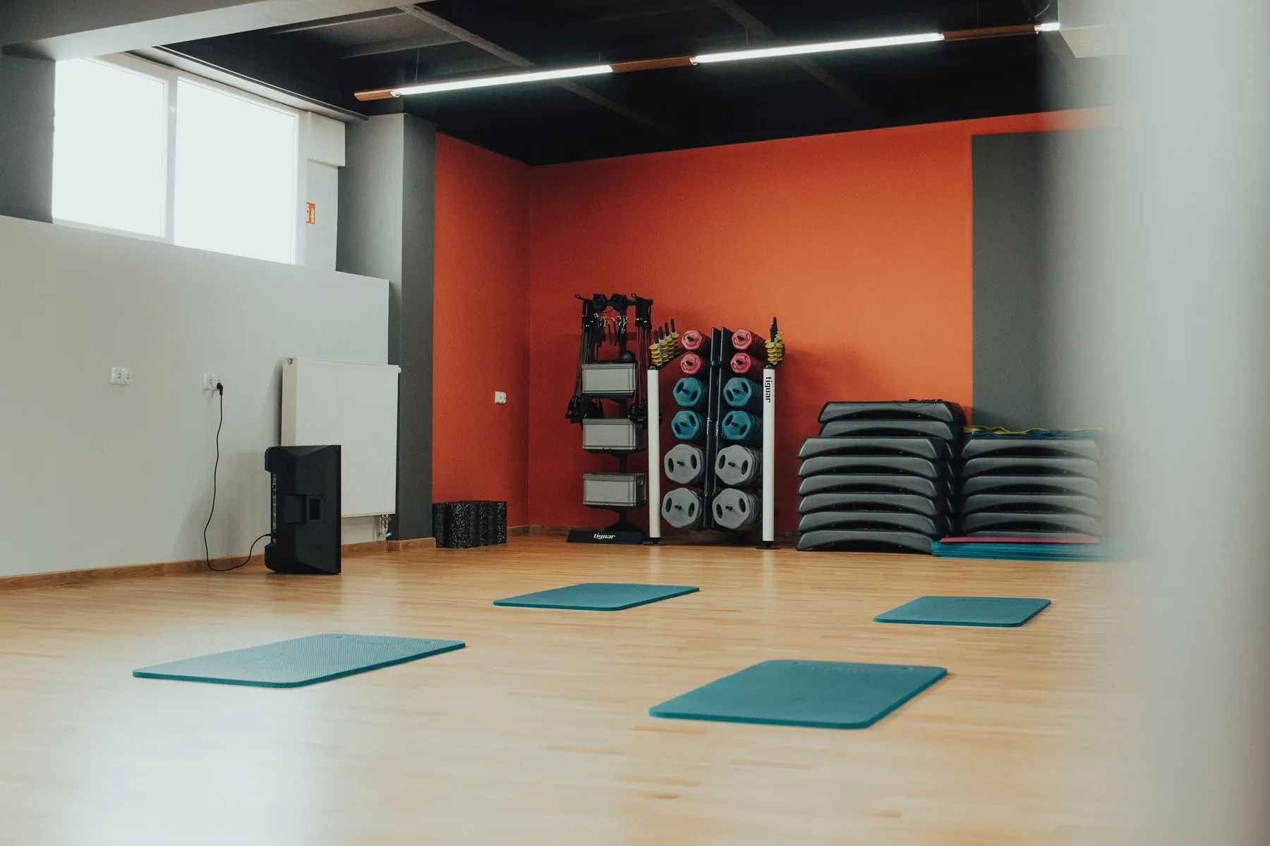 Training studio with tiguar steps, mats and storage