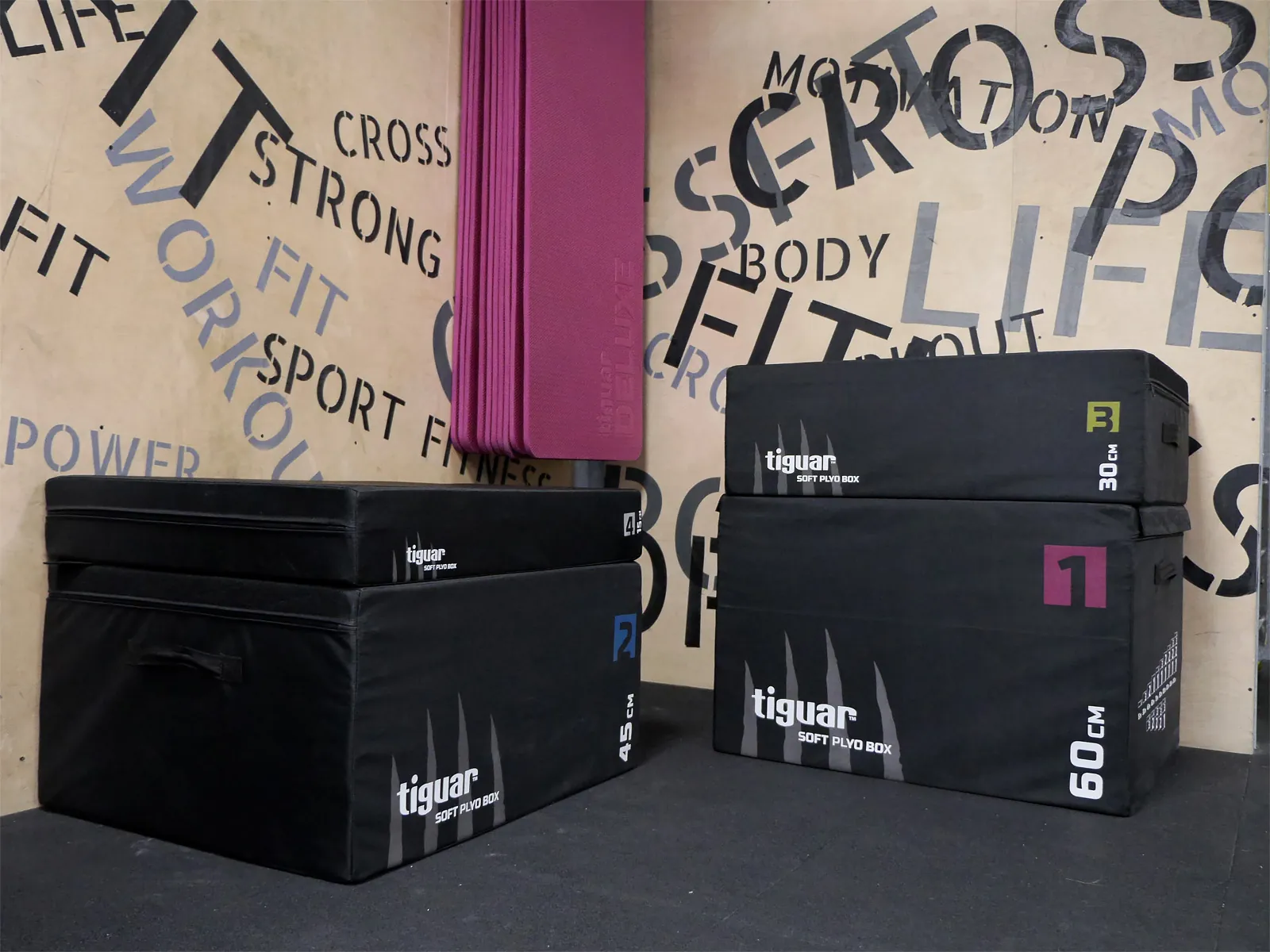 Functional training zone with tiguar plyo boxes