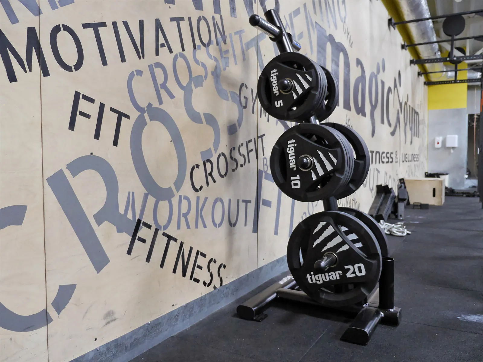 MagicGym functional zone